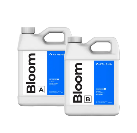 Bloom A +B 946 ml