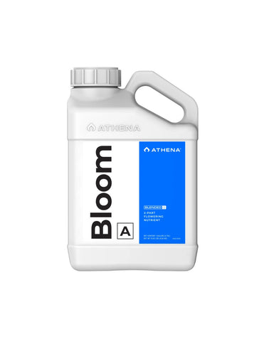Bloom A 946 ml