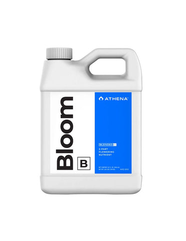 Bloom B 946 ml